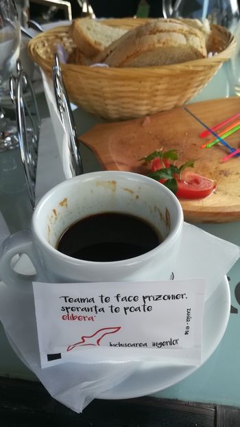  - Canaraua fetii