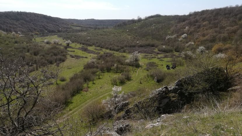  - Canaraua fetii