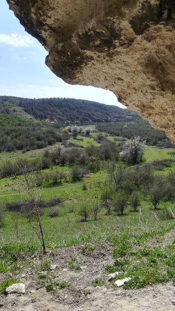  - Canaraua fetii