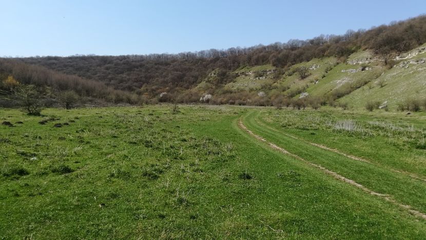  - Canaraua fetii