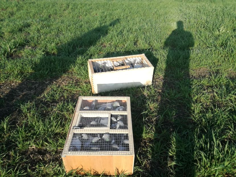  - 2018-04-09-Primul antrenament-Mizil-13 km