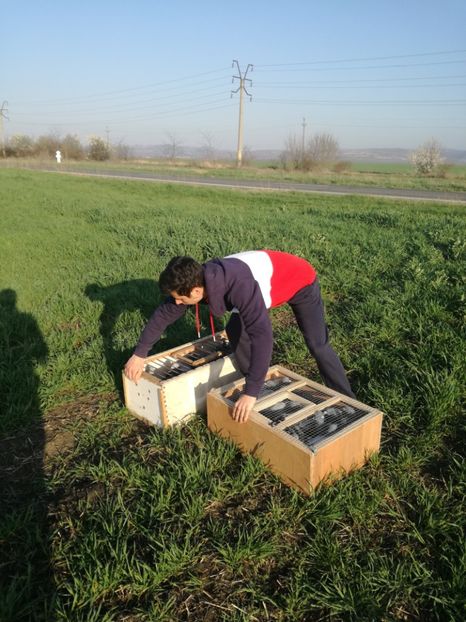  - 2018-04-09-Primul antrenament-Mizil-13 km