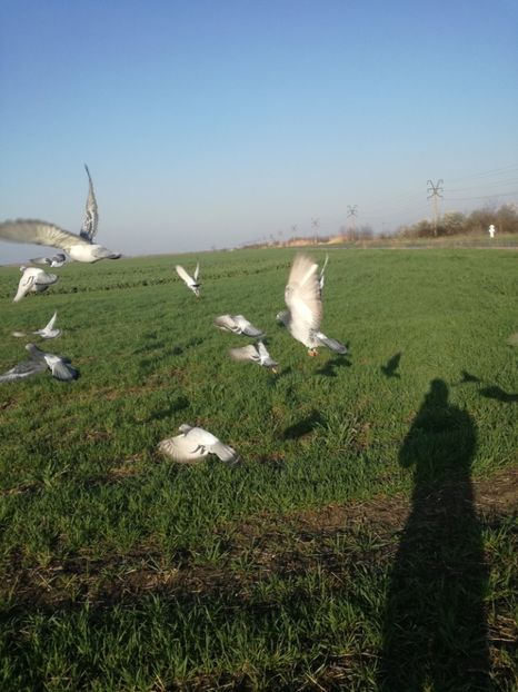  - 2018-04-09-Primul antrenament-Mizil-13 km