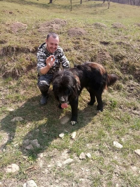 Plimbări de primăvară pe la grădini. - Caini