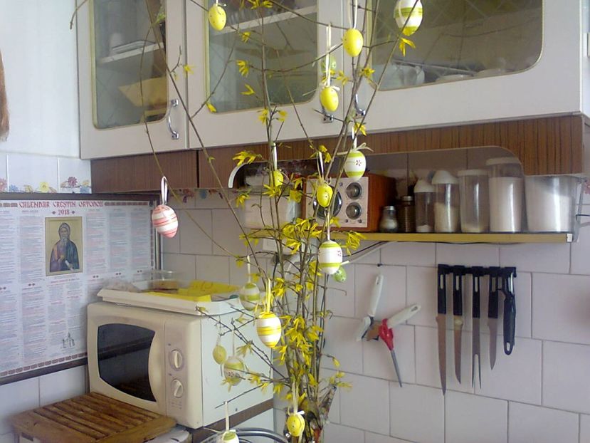 Fotografie3720 - 2018 PRIMA ZI DE PAȘTI 8 april