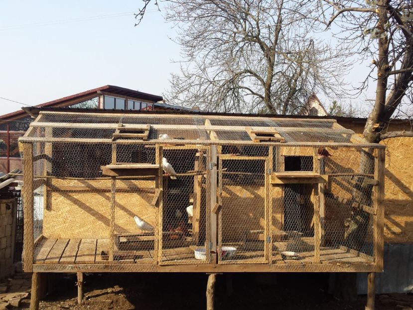  - ZBURATORI-DE-TÂRGOVIȘTE