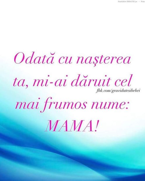  - Poze 2