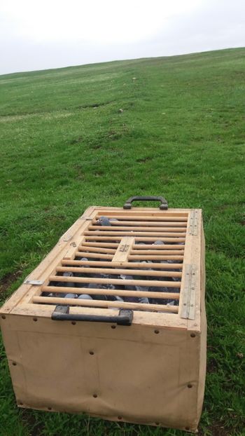 Primul antrenament - LOT 2018