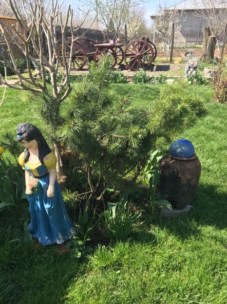 E82C415C-605B-41D4-B313-04B68A62573F - GRADINA 2015