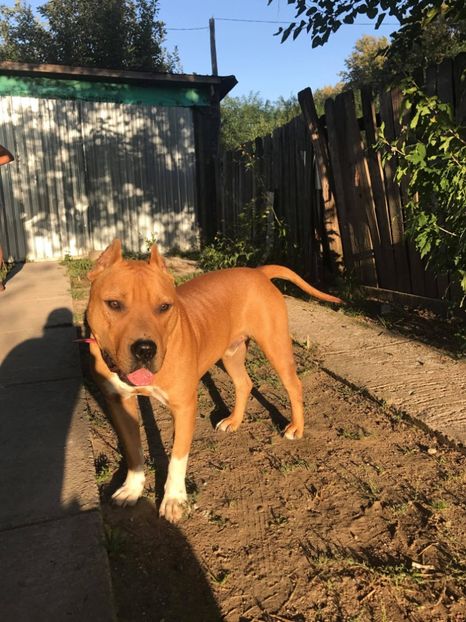 27846239_1543378842406637_429081183_o - Urmasi Kyra