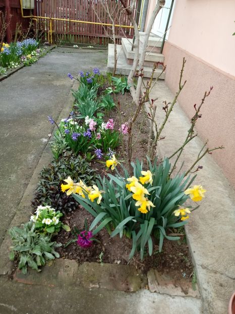 In aprilie 2018 - Gradina mea