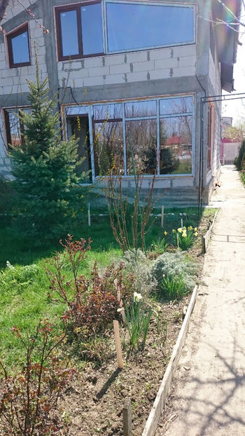  - Gradina primavara 2018