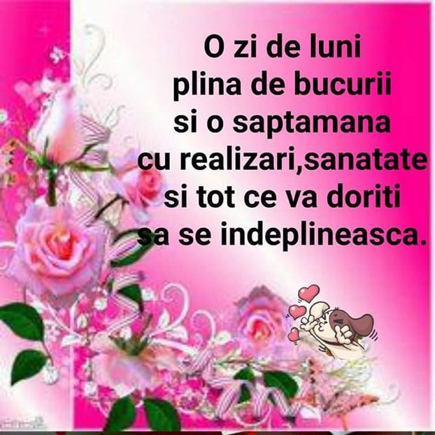  - Poze 3