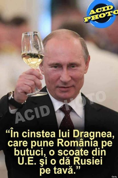  - Poze 3