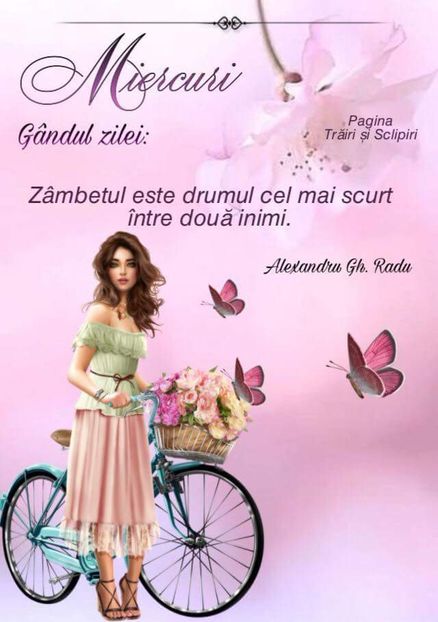  - Poze 3