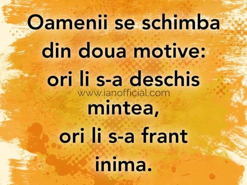  - Poze 3