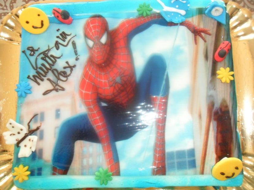 5 ani - un bebe mic -2013