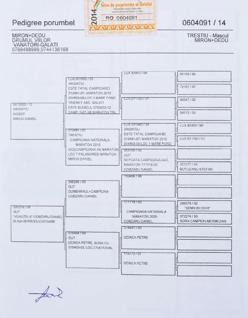 PEDEGREE RED 91 - 060491-2014M - MIRON DANIEL - VANDUT