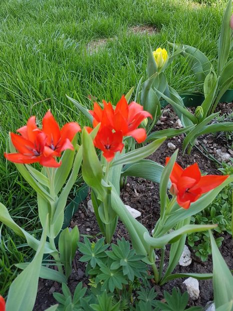 Iar azi deja s-au cam uscat...e soarele prea puternic! - Aprilie 2018