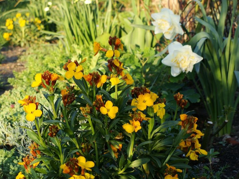 30624231_2045820299029722_1120651770339524608_o - Aprilie 2018