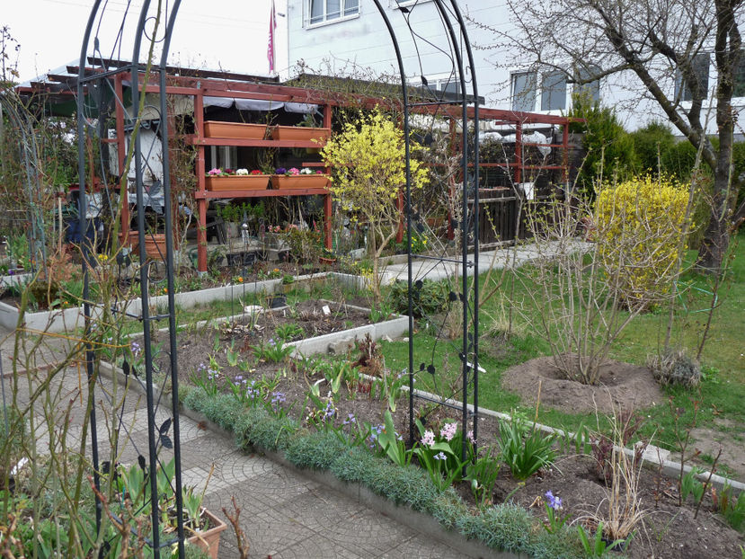  - 2018 - 01 - Primavara