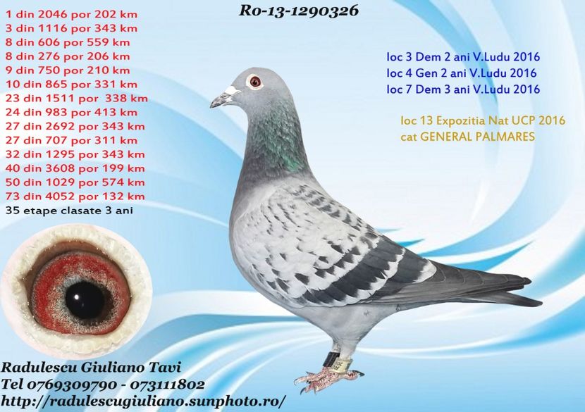1290326-13-F - CONTACT 0769309790