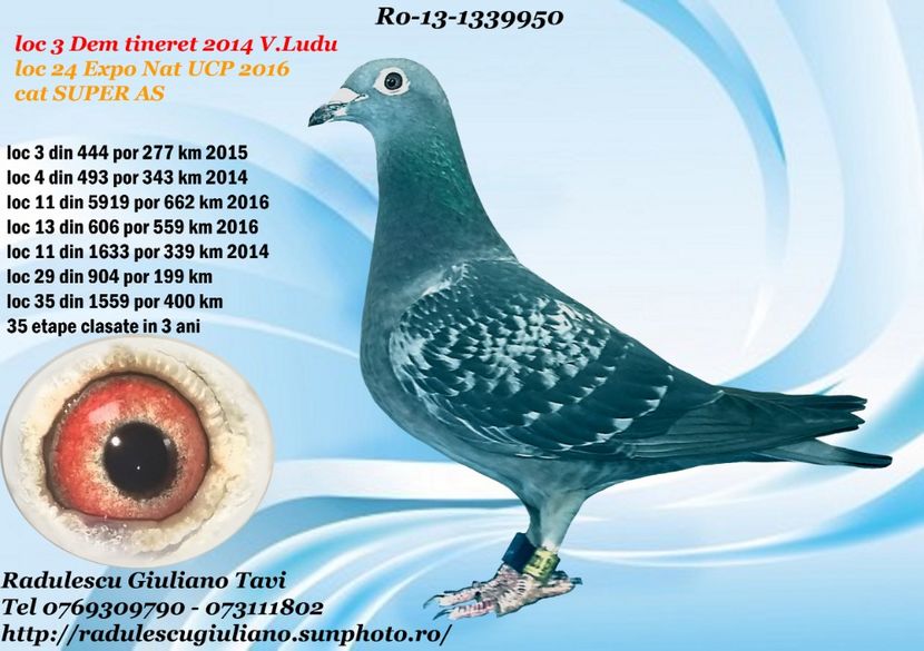 1339950-13-F - CONTACT 0769309790