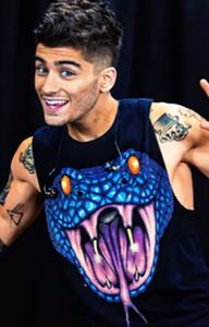 bandicam 2018-04-12 13-02-11-286 - 01 Zayn - 01