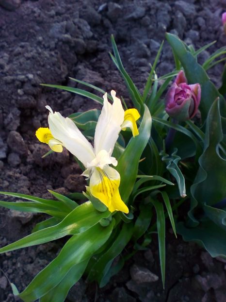  - curtea cu toate cele 2018