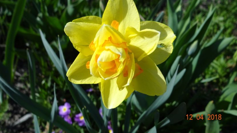  - Un inceput timid- aprilie infocat