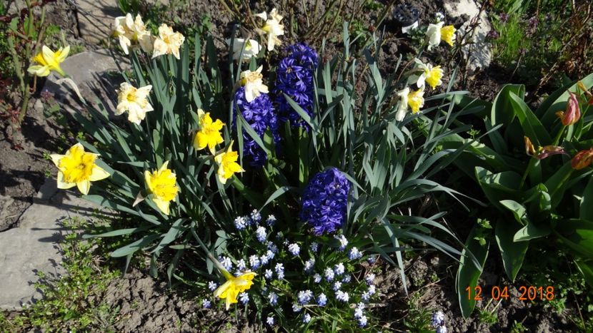  - Un inceput timid- aprilie infocat