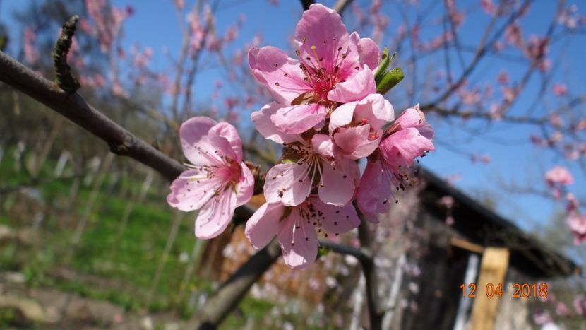  - Un inceput timid- aprilie infocat