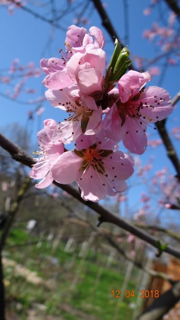  - Un inceput timid- aprilie infocat