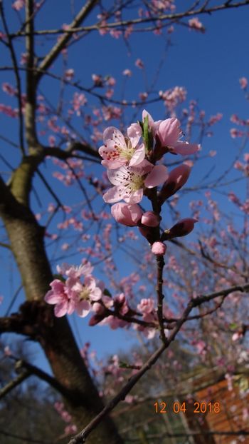  - Un inceput timid- aprilie infocat