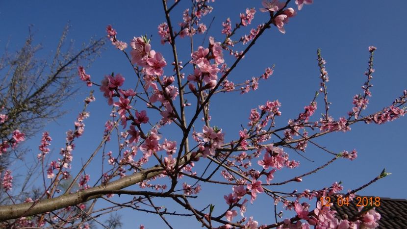  - Un inceput timid- aprilie infocat