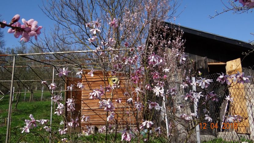  - Un inceput timid- aprilie infocat