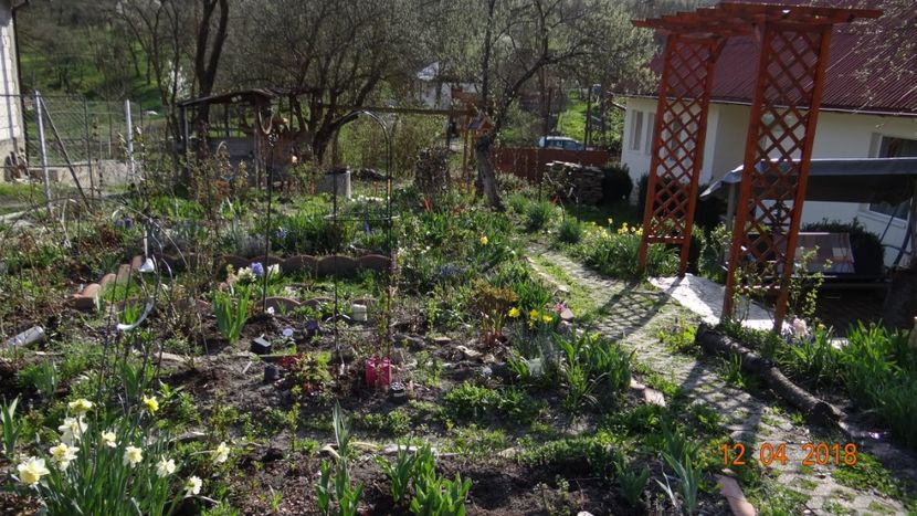 Am reusit doar sa tund trandafirii, cu greeeu - Un inceput timid- aprilie infocat