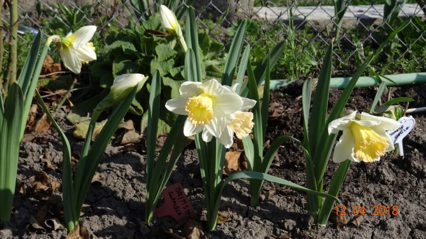  - Un inceput timid- aprilie infocat