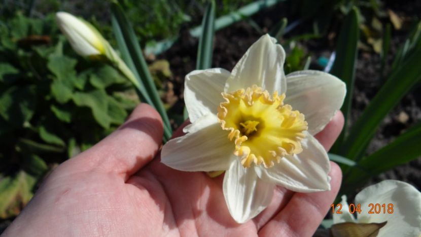  - Un inceput timid- aprilie infocat