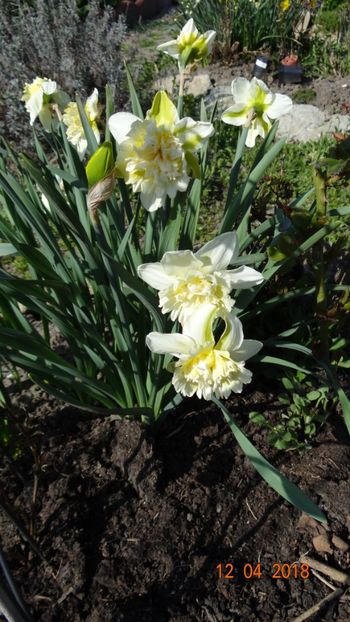  - Un inceput timid- aprilie infocat