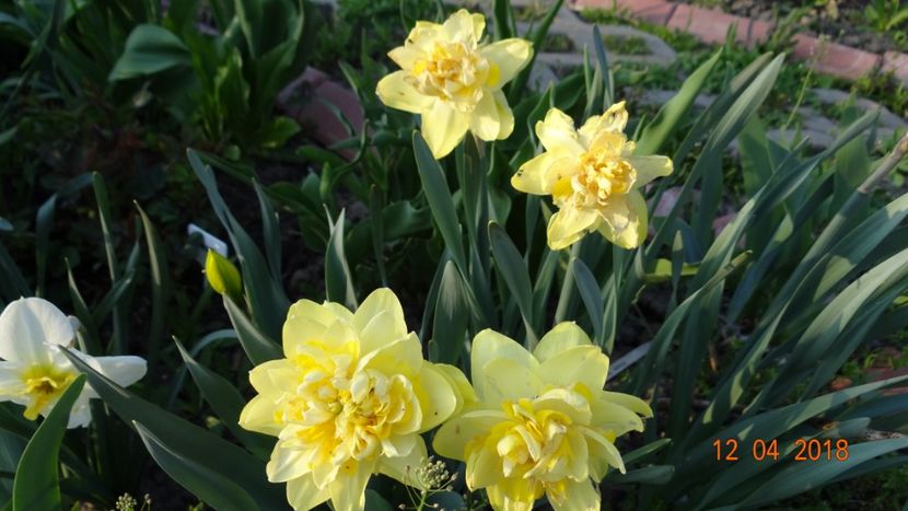 Full House - Un inceput timid- aprilie infocat