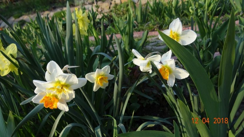  - Un inceput timid- aprilie infocat