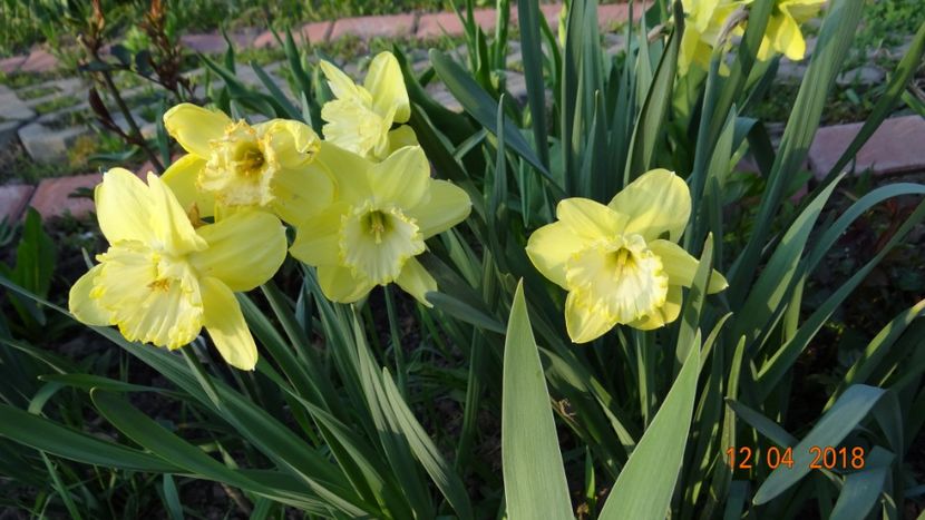  - Un inceput timid- aprilie infocat