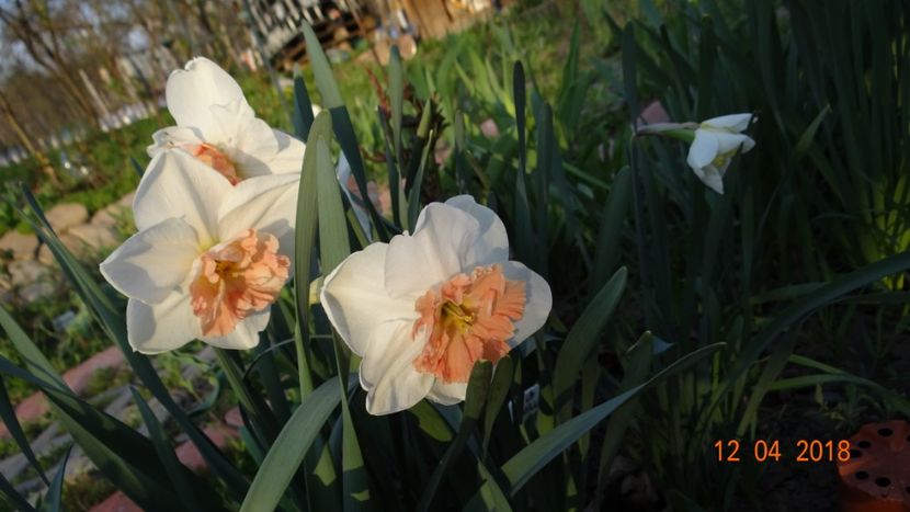  - Un inceput timid- aprilie infocat