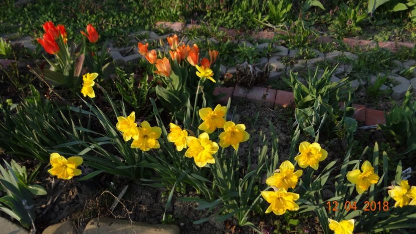  - Un inceput timid- aprilie infocat