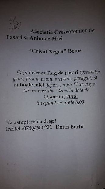  - T--TARGURI SI EXPOZITII