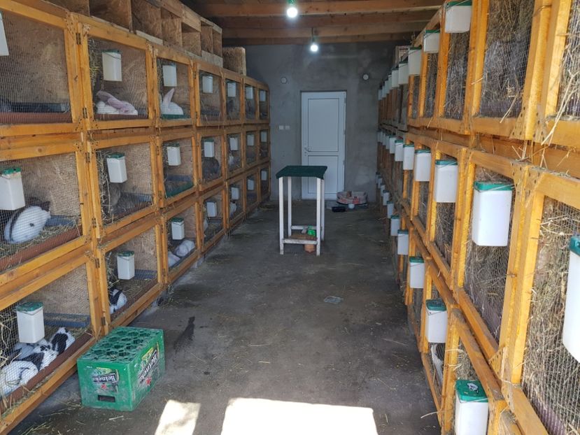 15.02.2018 - 0----------------HALA IEPURI