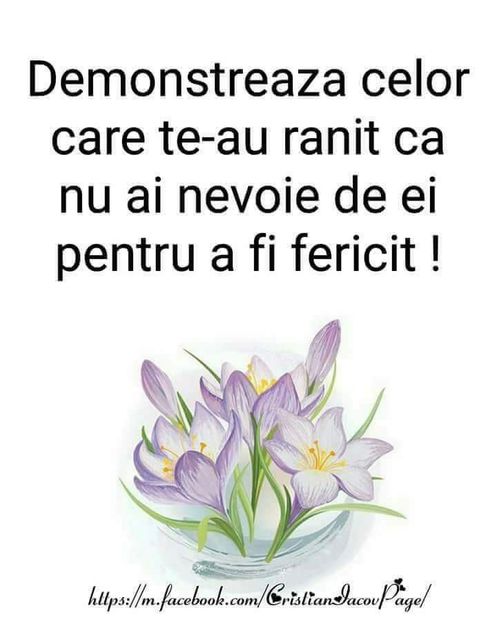  - Poze 3