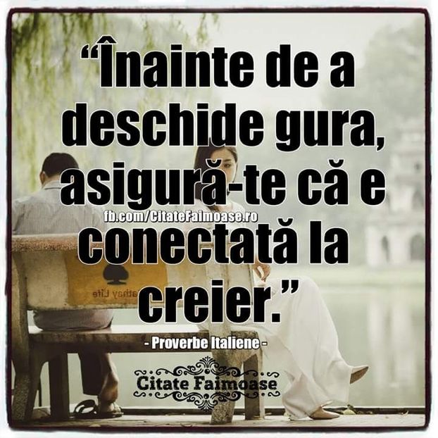  - Poze 3
