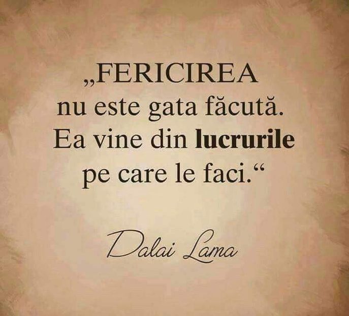  - Poze 3